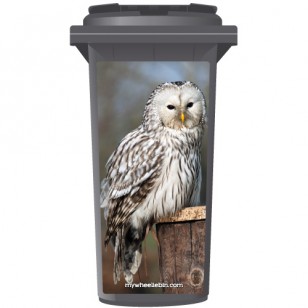 White Owl On Post Wheelie Bin Sticker Panel